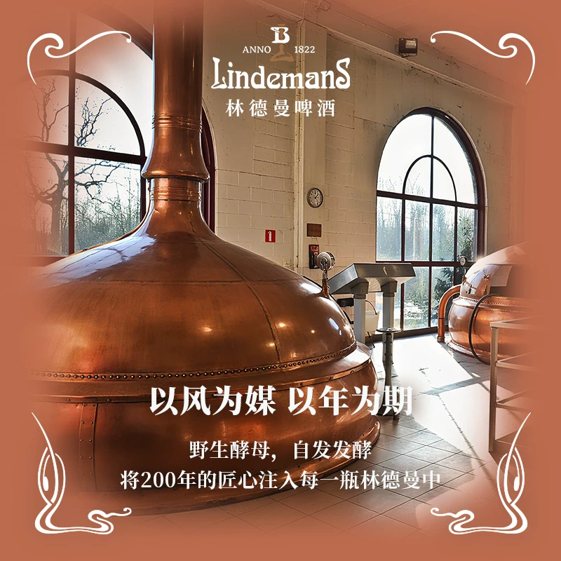 林德曼啤酒组合装2口味250ml*6瓶（桃子啤酒+樱桃啤酒） 58.52元 - 86线报