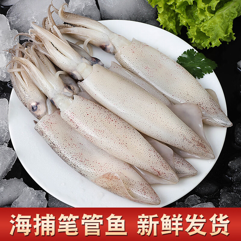 连海肴新鲜速冻大号笔管鱼海兔子乌贼籽乌铁板烧烤火锅小鱿鱼露营食材生冻笔管鱼3斤净重 59.9元 - 线报酷 连海肴新鲜速冻大号笔管鱼海兔子乌贼籽乌铁板烧烤火锅小鱿鱼露营食材生冻笔管鱼3斤净重 59.9元 - 线报酷