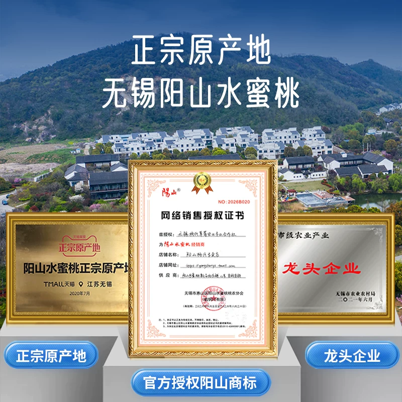 阳山正宗无锡阳山水蜜桃子白凤应当季时令水果新鲜整箱湖景毛顺丰礼盒 43元 - 86线报