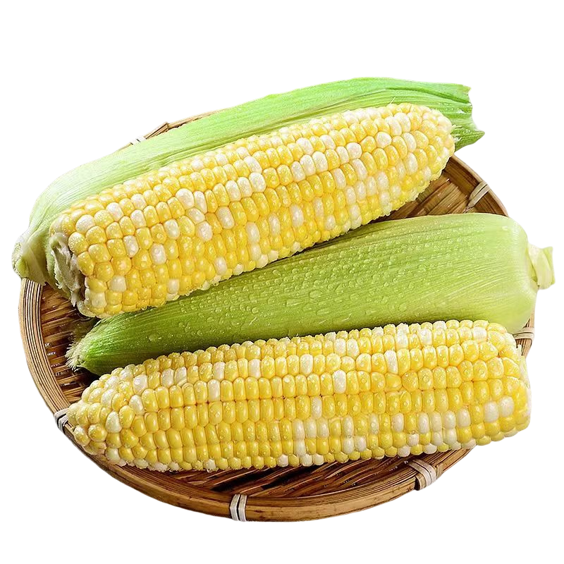 滇味十足水果玉米云南金银双色鲜玉米净重2斤 3.8元 - 86线报