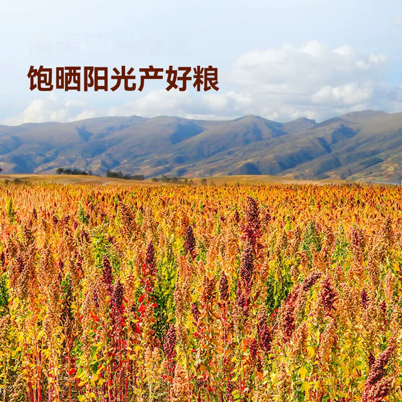 青储粮三色藜麦500g 6.9元 - 线报酷