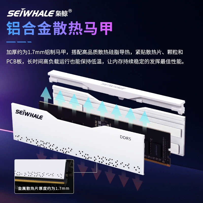 枭鲸电竞漫游DDR5 5600MHz台式机内存条16GB 659元 - 线报酷