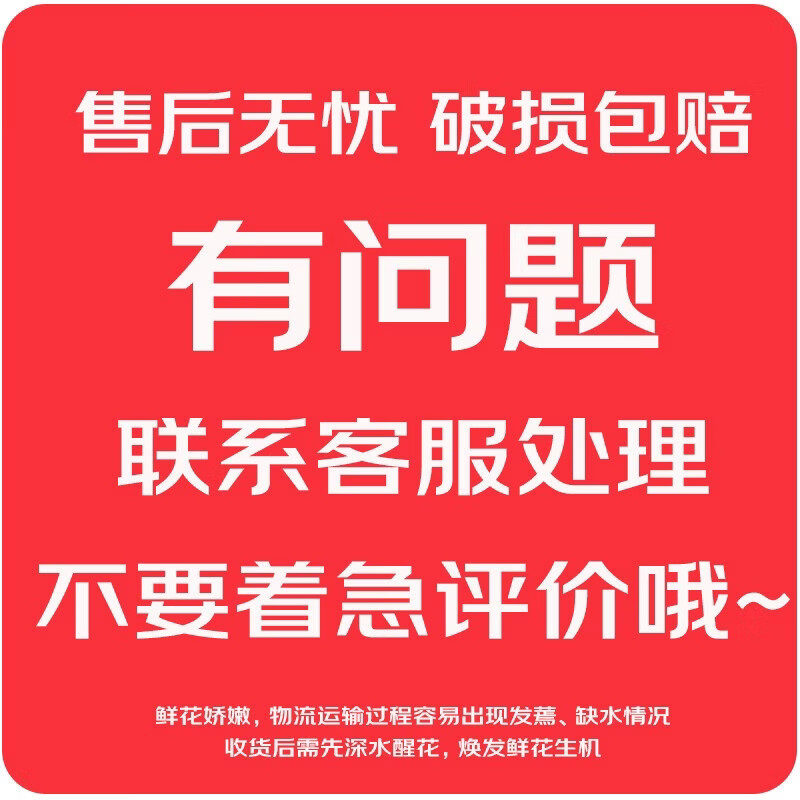 花点时间玫瑰鲜花花束七夕限定鲜花礼物告白520玫瑰花束情人花 49.9元 - 86线报