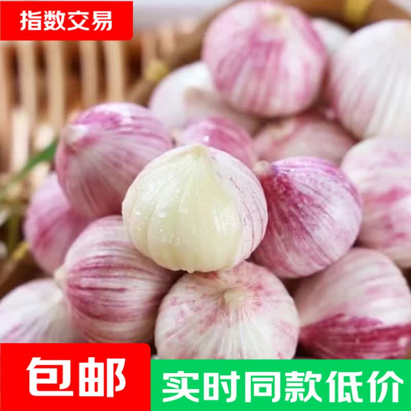 云南紫皮独头蒜干蒜大果直径3.0左右7头 1.99元 - 线报酷