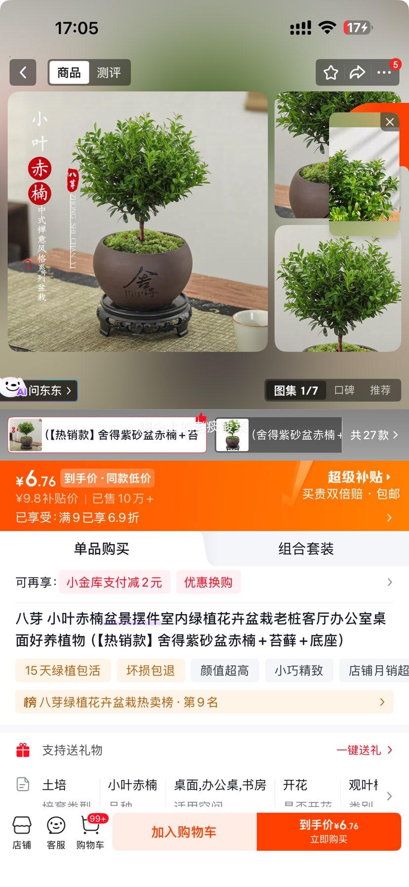 八芽小叶赤楠盆景摆件紫砂盆+苔藓+底座 6.76元 - 86线报