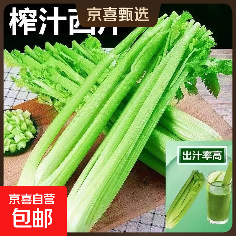 京东山东新鲜大西芹现割现发榨汁西芹首选水果西芹蔬菜生鲜减肥减脂新鲜西芹净重3斤 9.6元 - 86线报