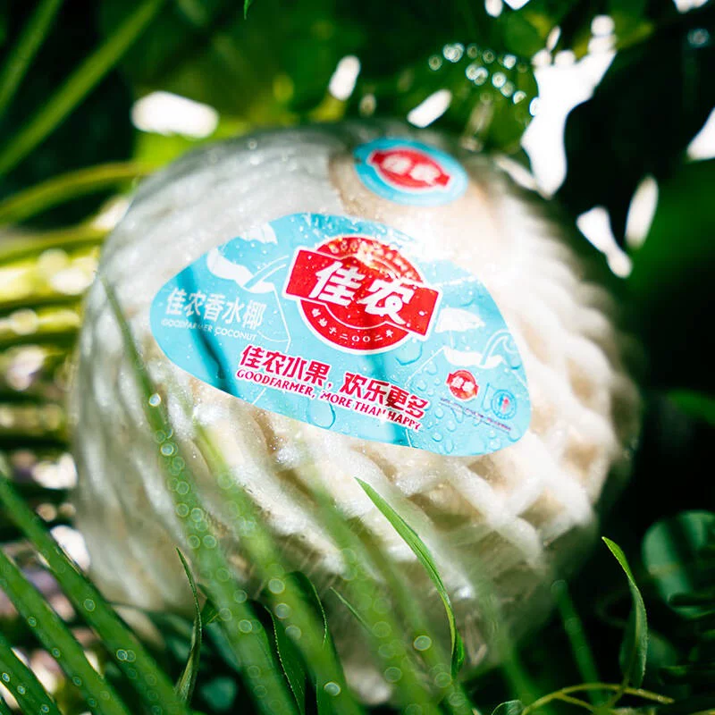 佳农泰国进口椰青700g*9粒 57.98元 - 86线报