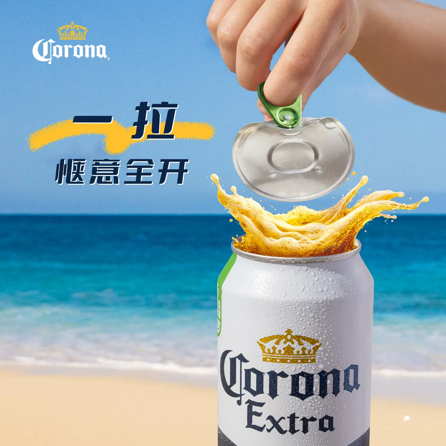 百威CORONA科罗娜全开盖啤酒500ml*12听整箱11.3°P大罐装经典拉格 54.25元 - 86线报