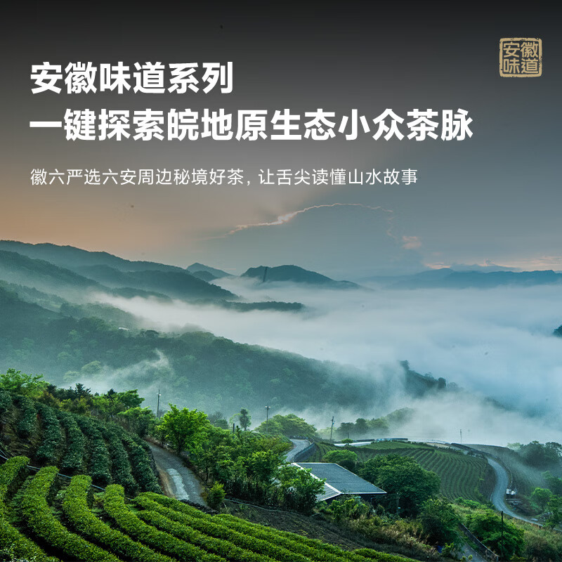 徽六安徽味道火香浓郁特二级六安瓜片50g*罐装 28元 - 线报酷