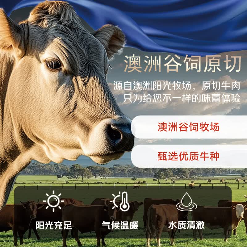 月盛斋澳洲谷饲肥牛卷2.2斤 99.9元 - 86线报