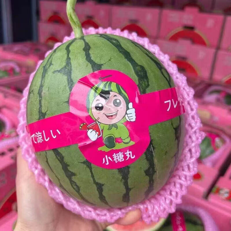 新鲜采摘小糖丸西瓜5-6斤手撕薄皮脆甜水果礼盒 8.9元 - 86线报