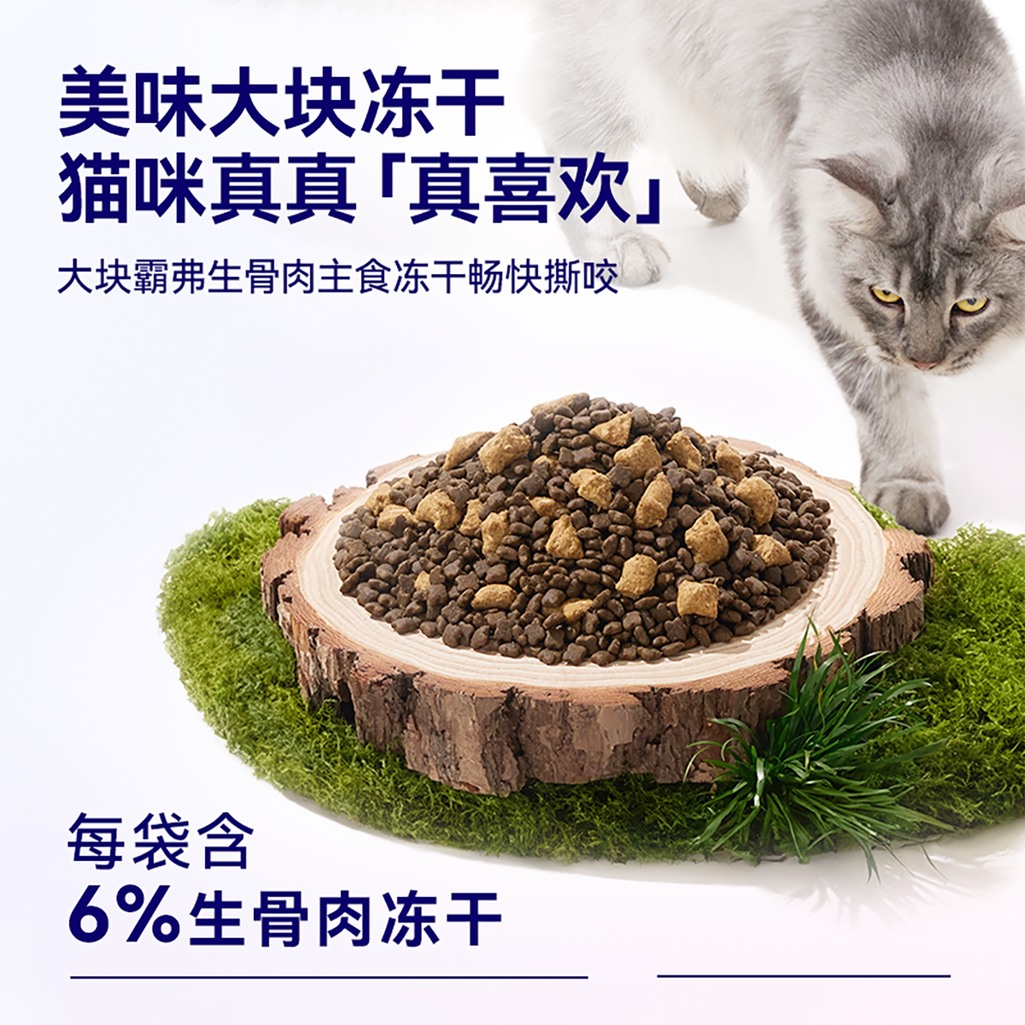 霸弗猫咪干粮2.0版本 55元 - 86线报