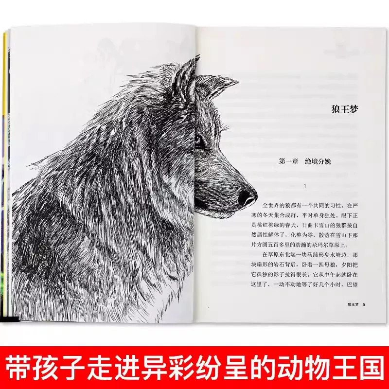 动物小说大王沈石溪·品藏书系：狼王梦 9.2元 - 线报酷
