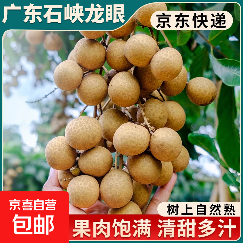 桂圆3斤带箱净重2.5斤 19.99元 - 86线报 桂圆3斤带箱净重2.5斤 19.99元 - 86线报