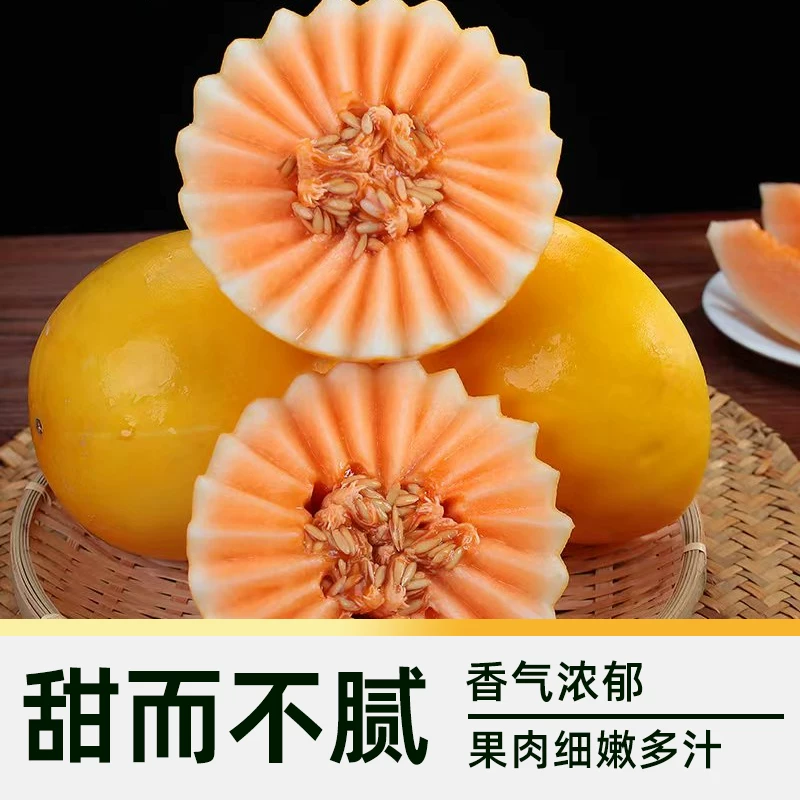 樱洛华甘肃金红宝蜜瓜2-9斤箱装 12.8元 - 86线报