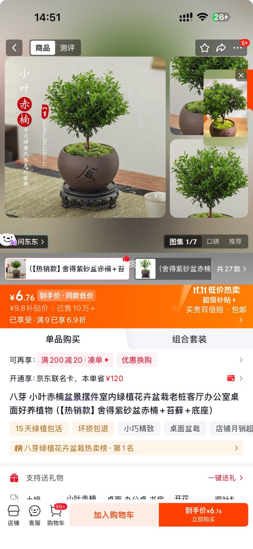 八芽小叶赤楠盆景紫砂盆+苔藓+底座 6.76元 - 86线报