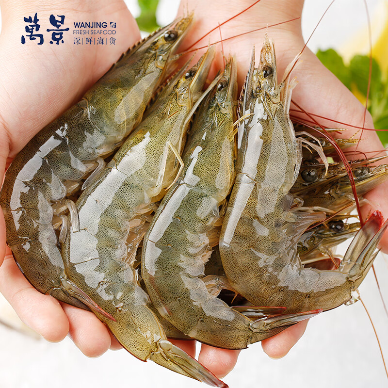 万景鲜冻白虾100-120只2kg 51.93元 - 86线报