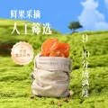 今日必买：薛记炒货 红杏干 88g 4.89元 图片 2