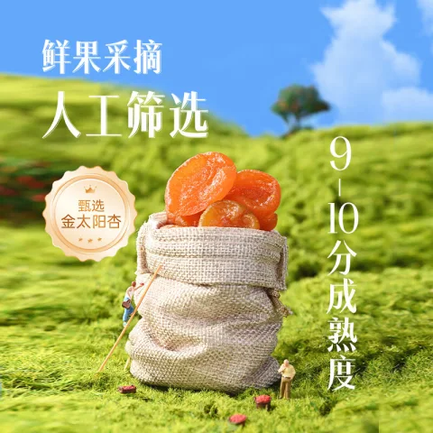 今日必买：薛记炒货 红杏干 88g 4.89元 图片 2