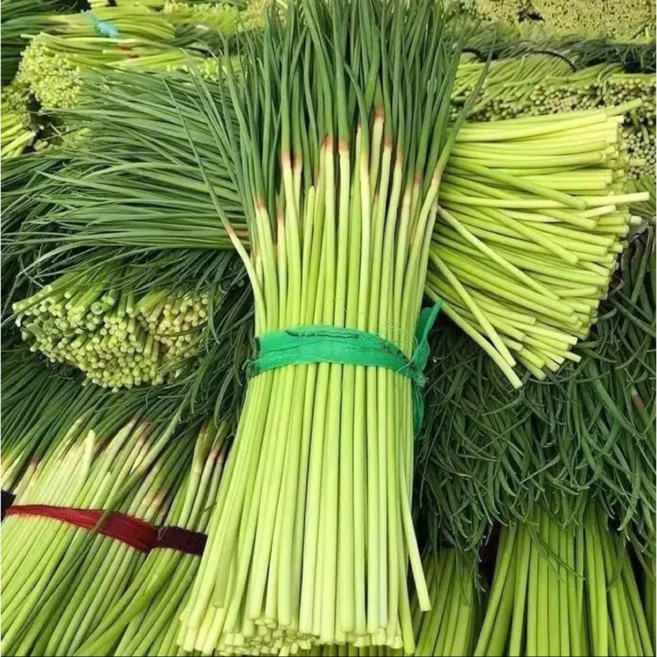 长蒜苔长30cm±5cm新鲜蒜苔4斤装 0.99元 - 线报酷 长蒜苔长30cm±5cm新鲜蒜苔4斤装 0.99元 - 线报酷
