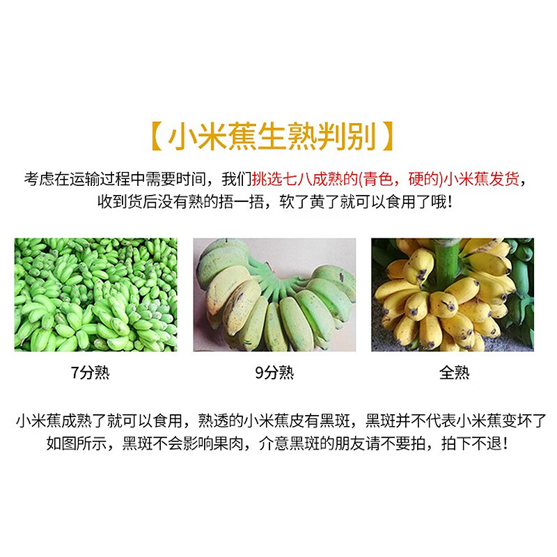 静益乐源新鲜广西小米蕉5斤装 9.9元 - 86线报