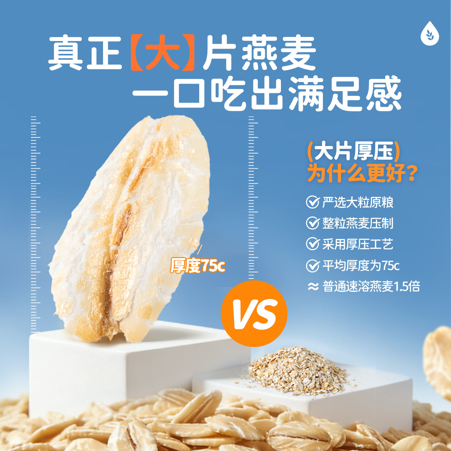 SHEGURZ无糖精钠澳洲全粒大燕麦片 32.18元 - 86线报