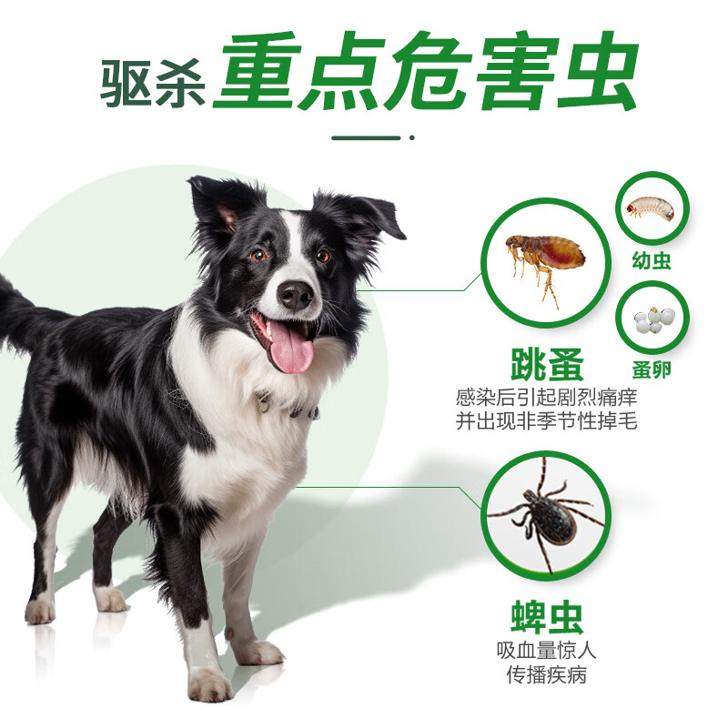 福来恩 狗狗专用 体外驱虫滴剂 10-20kg 1.34ml 43.9元 - 86线报