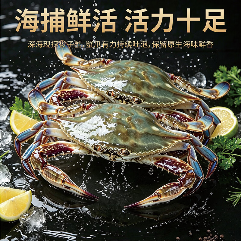 大海船说舟山梭子蟹活鲜海蟹5-7两/只3斤 169元 - 86线报
