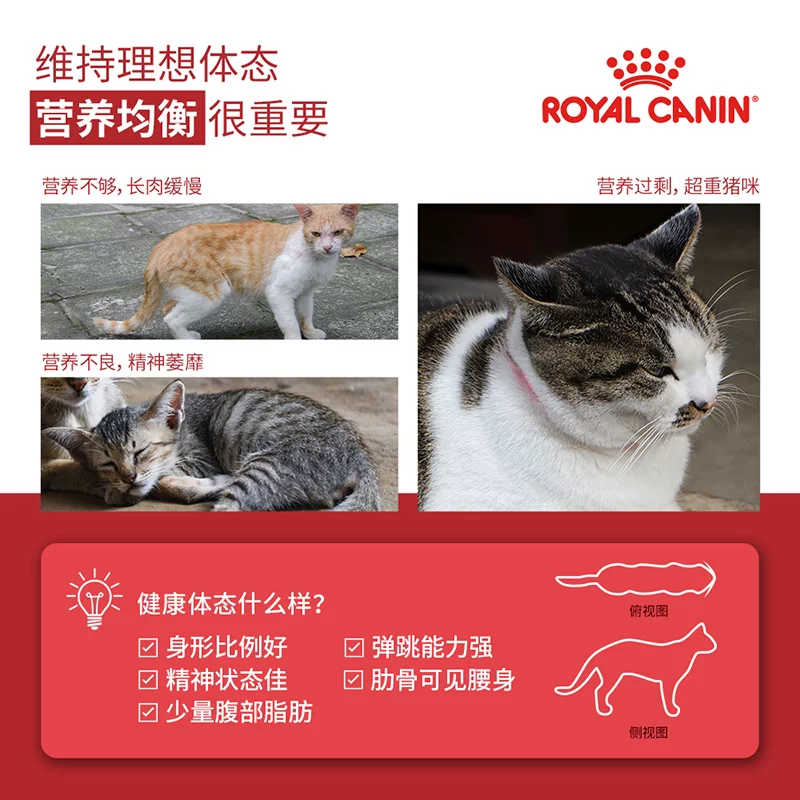 皇家 F32成猫猫粮2kg 123元 - 86线报