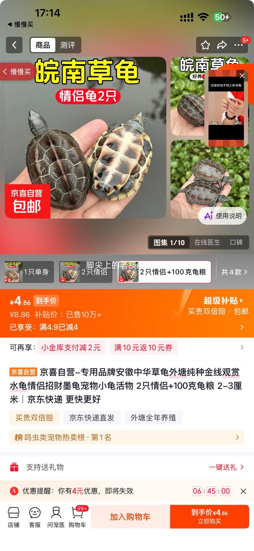 安徽中华草龟2只情侣龟2-3厘米配100克龟粮 4.86元 - 86线报