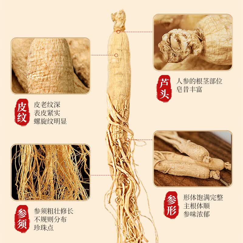 长白山人参节日人参礼盒生晒活性参冻干参东北特产泡酒煲汤伴手礼人参拍1发2盒1支*1盒/8g另赠礼袋 - 86线报