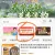 线报图片
