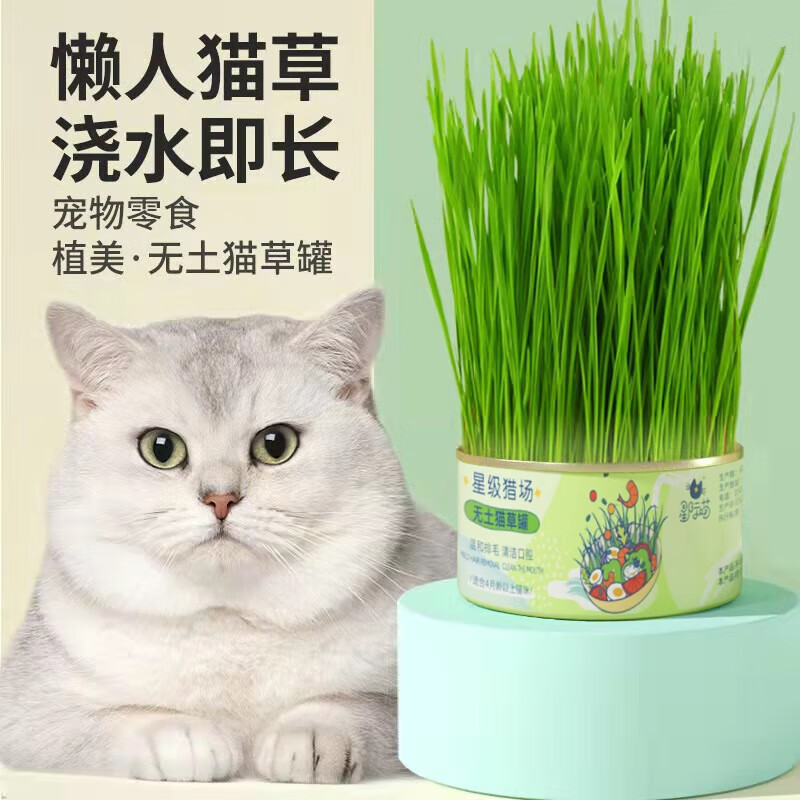 欢宠网猫草种子猫薄荷猫零食猫草罐 1.3元 - 86线报