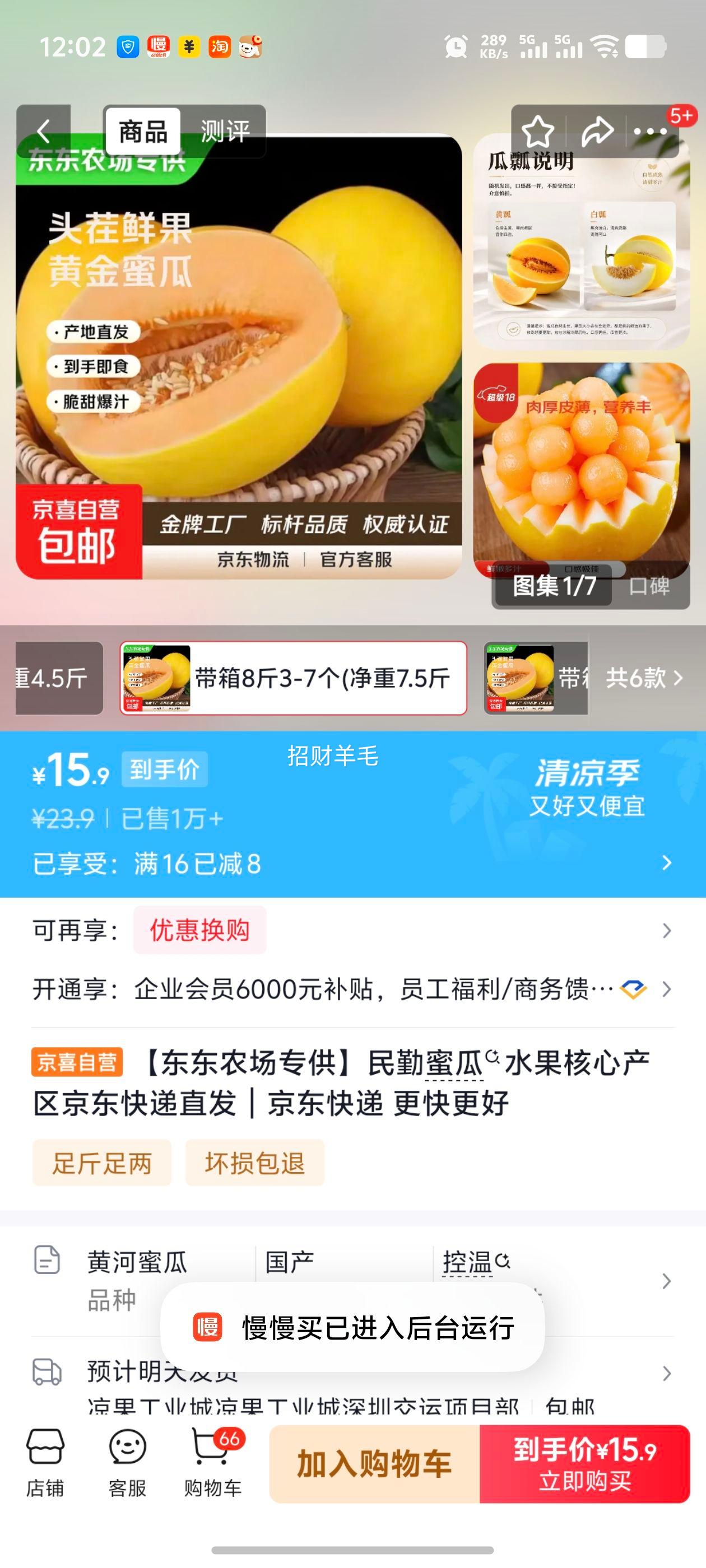 民勤蜜瓜带箱8斤3-7个净重7.5斤 15.9元 - 86线报