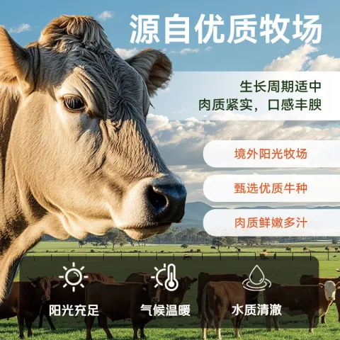 月盛斋 进口原切 肥牛卷400g 涮火锅食材 &进口生鲜牛肉  24.9元（需买4件，需用券） 图片 2
