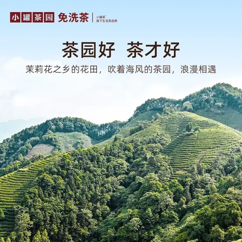 小罐茶园 免洗茶 茉莉花茶 199元 图片 2