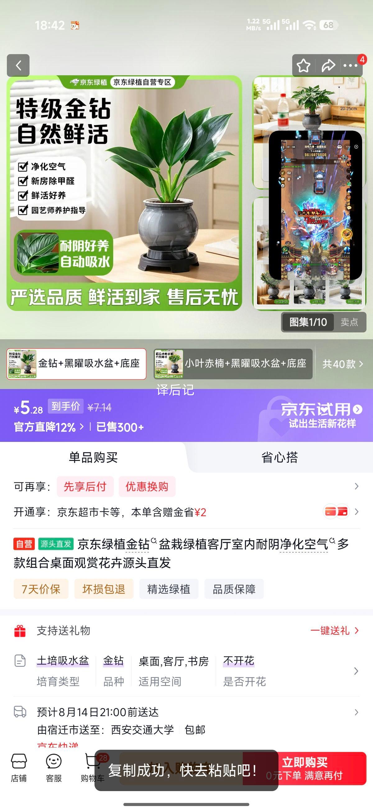 京东绿植金钻盆栽室内耐阴净化空气多款组合 5.28元 - 86线报