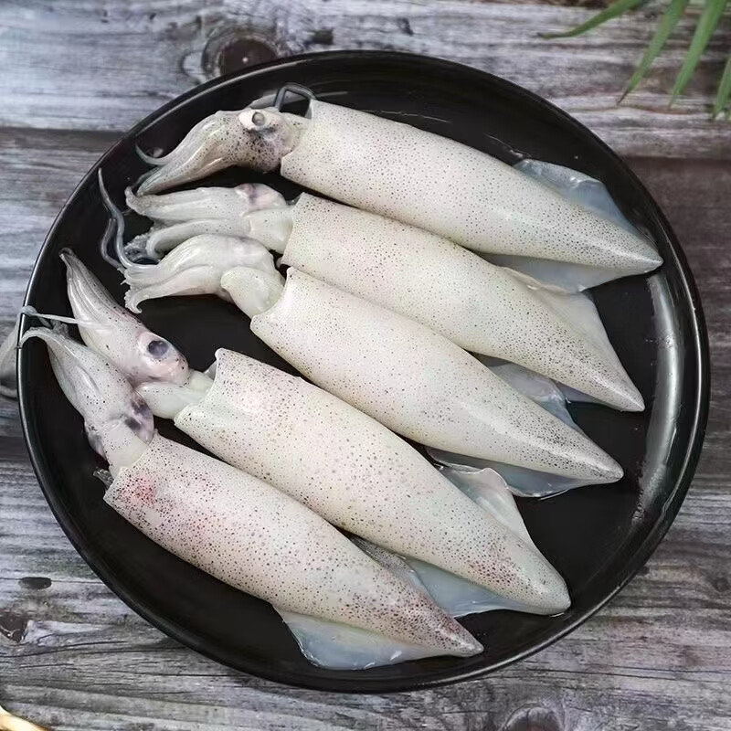 连海肴新鲜速冻大号笔管鱼海兔子乌贼籽乌铁板烧烤火锅小鱿鱼露营食材生冻笔管鱼3斤净重 59.9元 - 线报酷