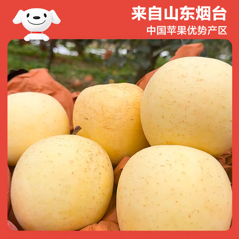 京鲜生山东黄金奶油富士苹果净重5斤单果170g+ 19.9元 - 线报酷