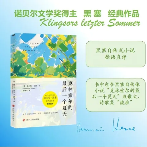 克林索尔的最后一个夏天 定制版 赫尔曼·黑塞著 诺贝尔文学奖得主经典作品 自传式小说外国著名文学小说 券后2.8元 图片 2