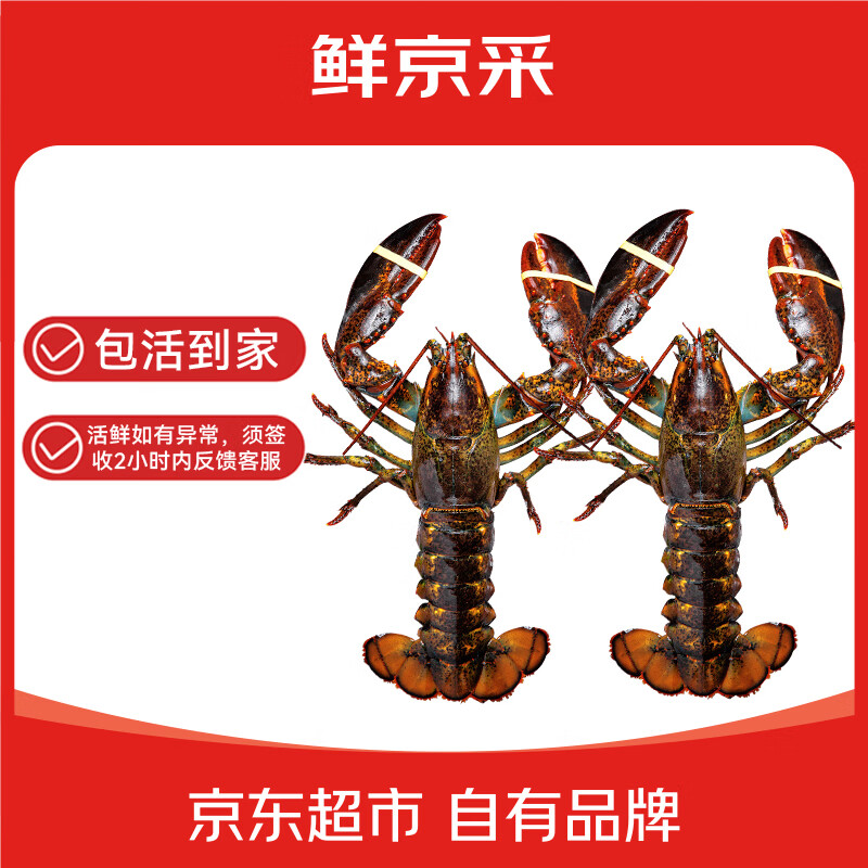 御鲜之王鲜活大龙虾单只450-550g2只 164元 - 86线报
