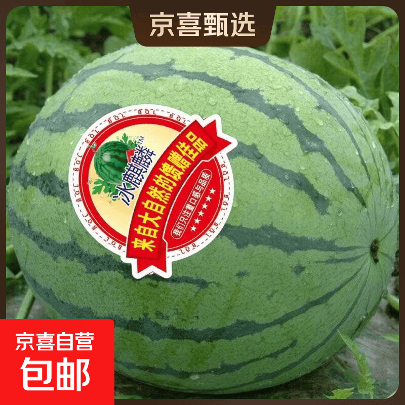 麒麟安徽砀山精品爆汁西瓜一个装5-7斤 13.51元 - 86线报