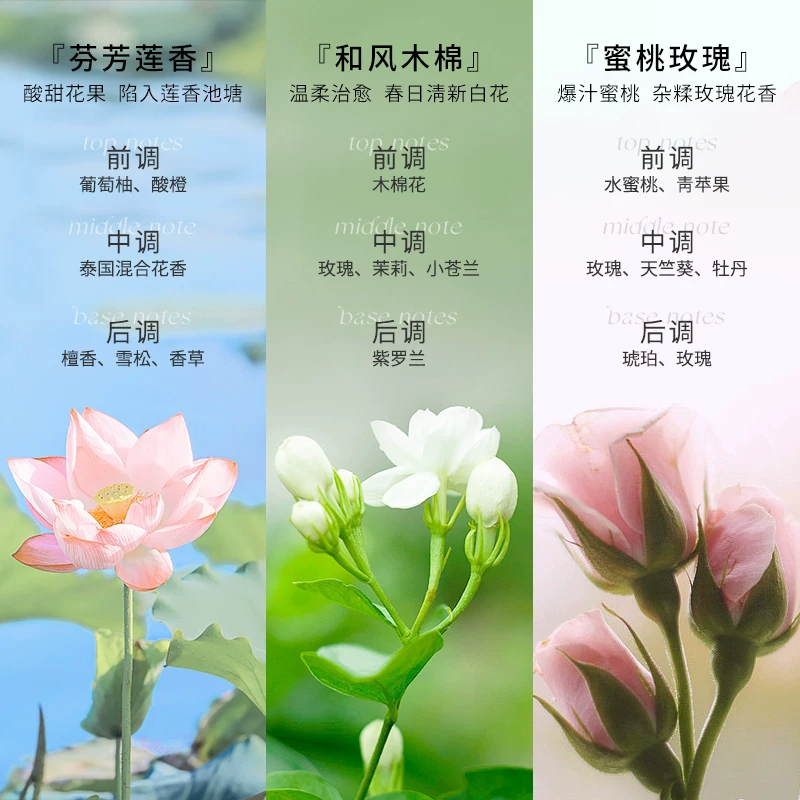 芝芙莲多巴胺内衣裤洗衣液清洁液专用去血渍污渍留香持久晨曦茶语300ml*2+落日花序300ml - 86线报