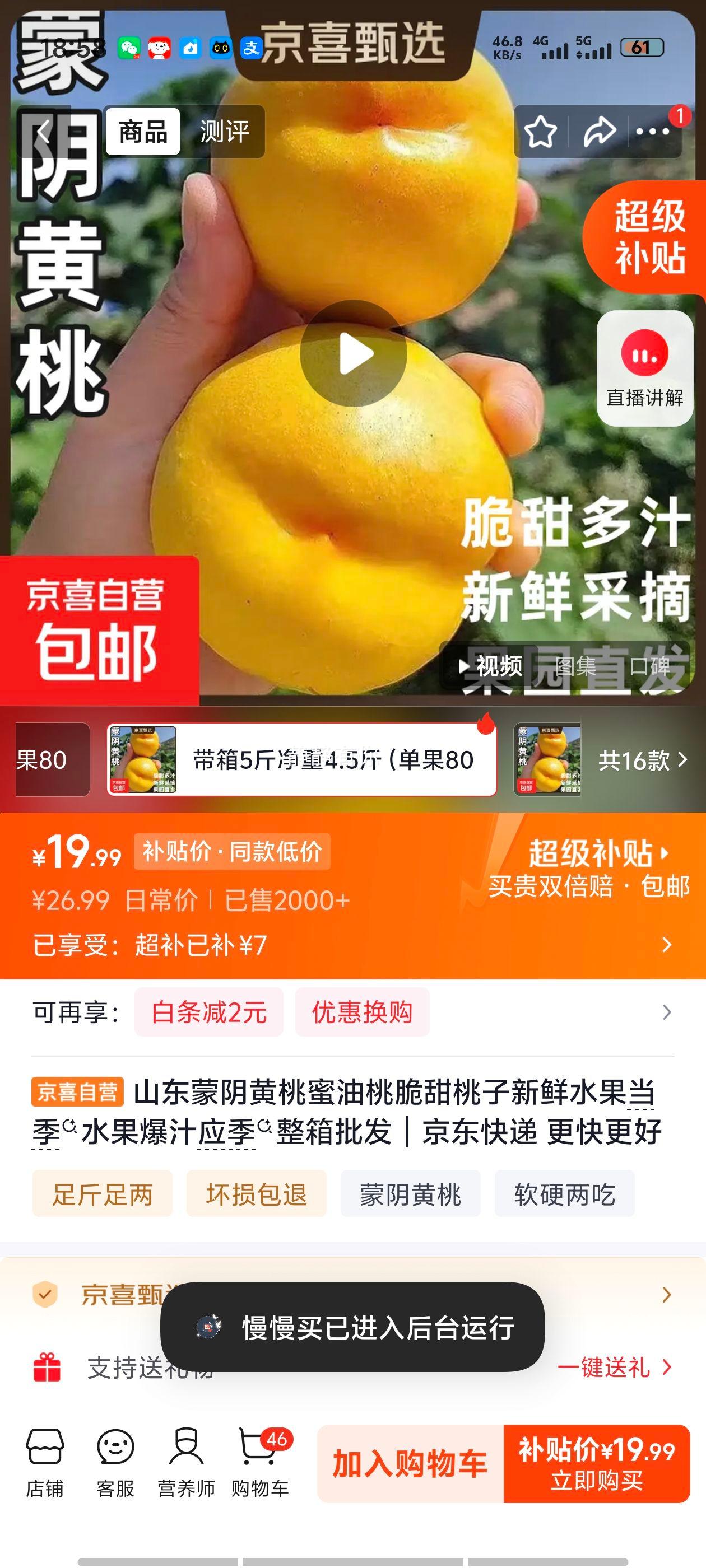 山东蒙阴黄桃蜜油桃脆甜爆汁当季新鲜水果5斤装 19.99元 - 86线报