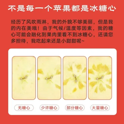 顶端果业 冰糖心 苹果 12枚75mm中果礼盒 券后44.9元 图片 2