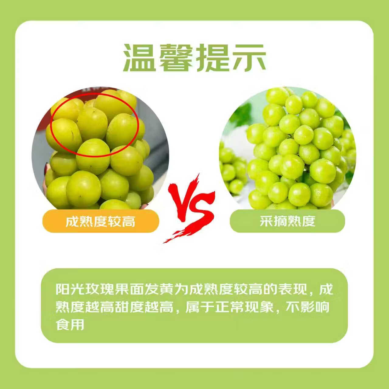 京鲜生阳光玫瑰净重2.8-3.3斤单果8-10g葡萄提子 7.62元 - 线报酷