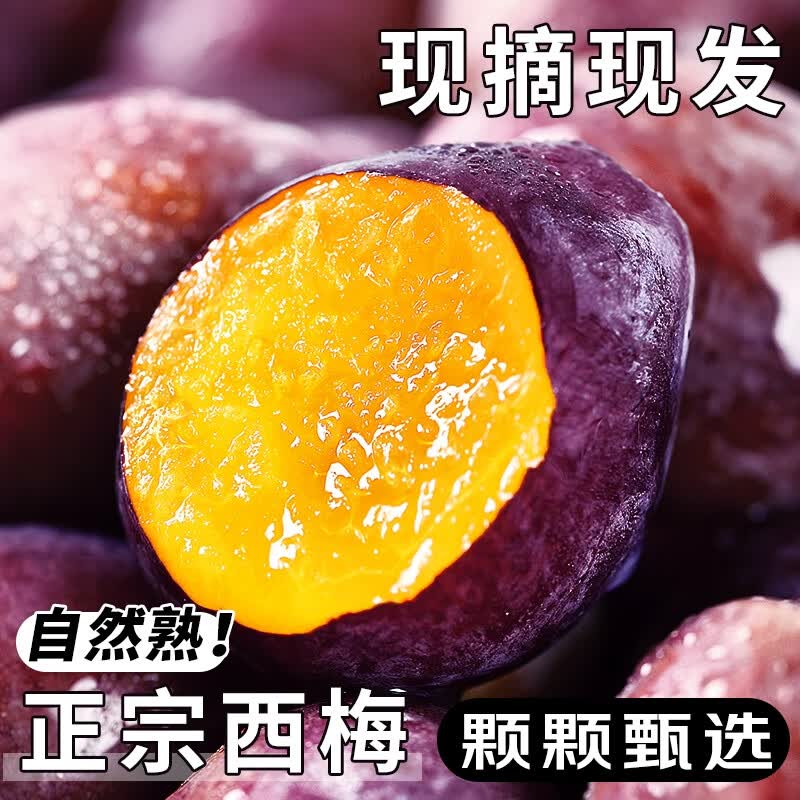 庾丰新鲜当季现摘西梅5斤装净果4.5斤果王 17.88元 - 86线报 庾丰新鲜当季现摘西梅5斤装净果4.5斤果王 17.88元 - 86线报