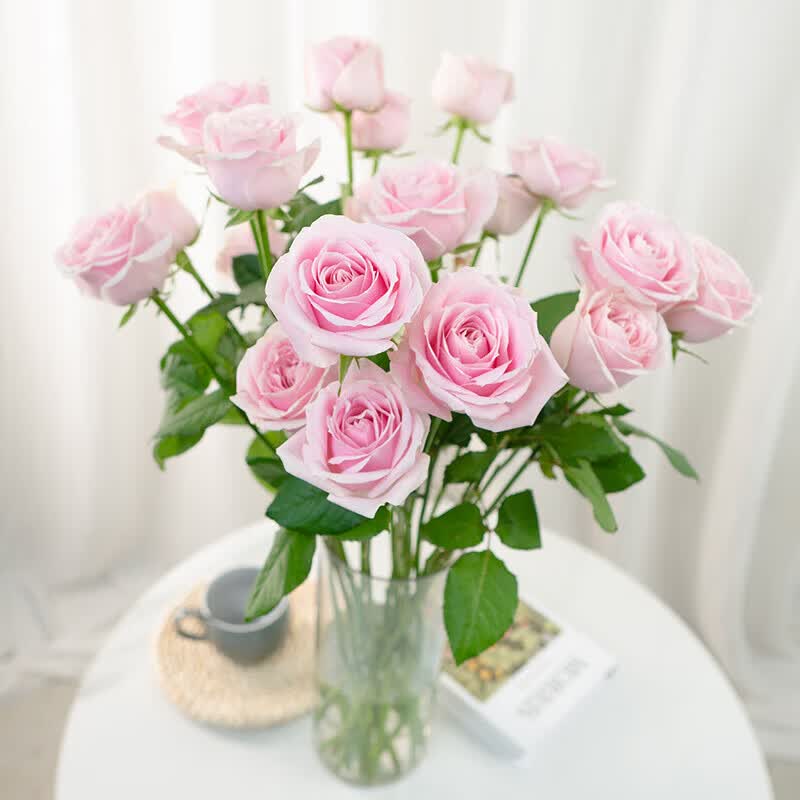 玫瑰鲜花10支基地直发云南鲜花玫瑰花束10朵随机色 9.9元 - 86线报