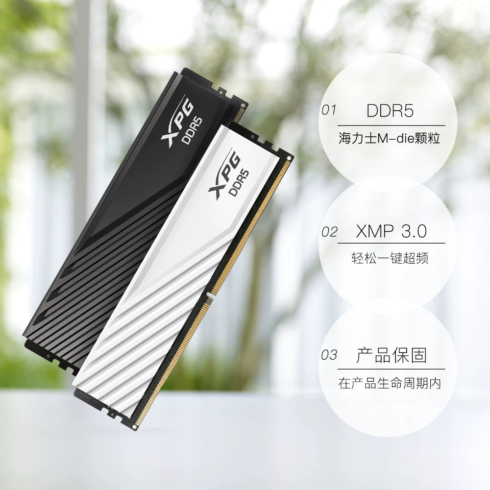 威刚XPG威龙D300DDR5 6000台式机内存条 1737.55元 - 86线报 威刚XPG威龙D300DDR5 6000台式机内存条 1737.55元 - 86线报