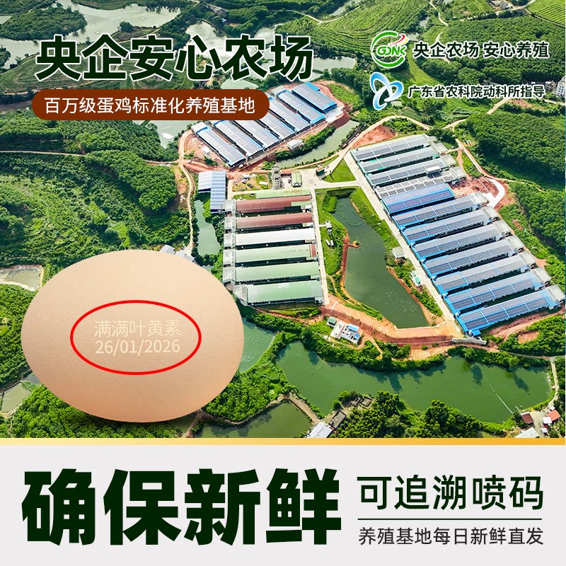 喵满分 可生食鲜鸡蛋 30枚 1.5kg 23.92元 - 清风线报